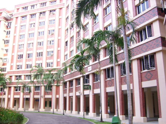 Blk 497C Tampines Street 45 (Tampines), HDB 4 Rooms #101982